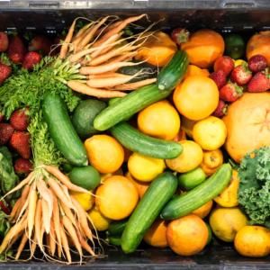 2026 CSA Membership (Full Share)